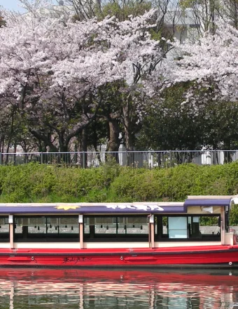 桜と屋形船